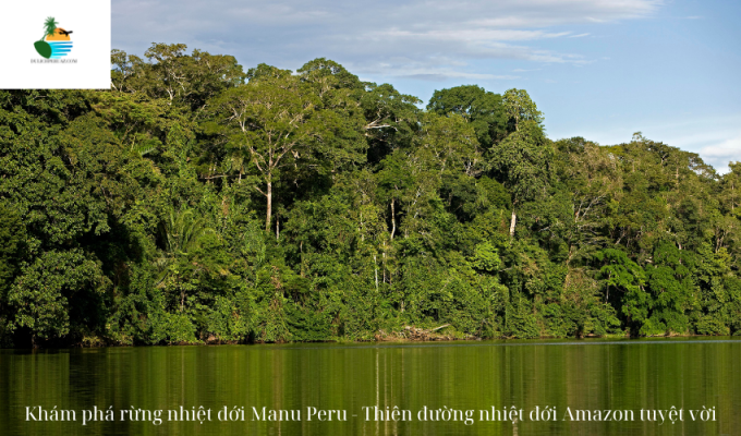 Khám phá rừng nhiệt đới Manu Peru - Thiên đường nhiệt đới Amazon tuyệt vời